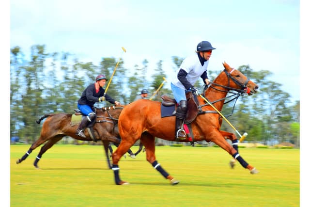 Torpan Ratsutallin kenttä